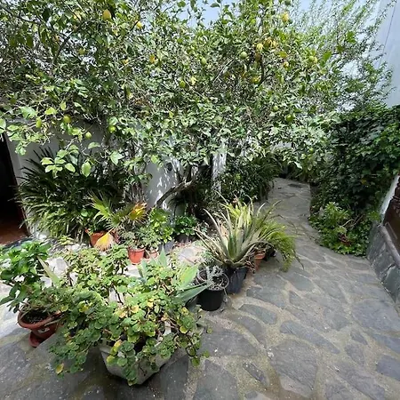 Ferienhaus Acogedora *